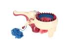 Knitting machine sewing kit 5 yarns 7