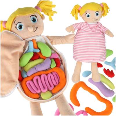 Lalka maskotka nauka anatomii dziewczynka
