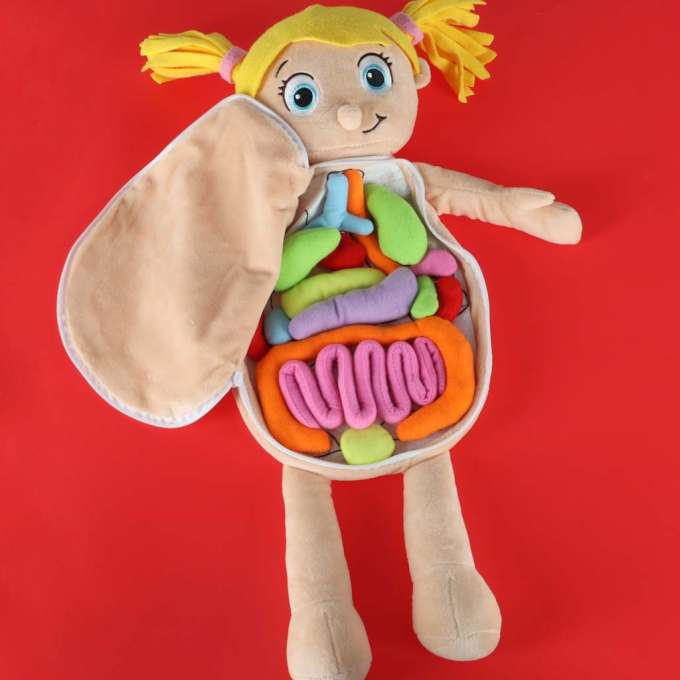 Lalka maskotka nauka anatomii dziewczynka