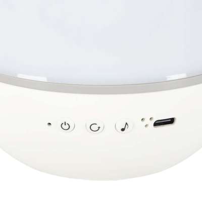 Lampka nocna projektor gwiazd LED USB obrotowy 6 motywów pilot renifer