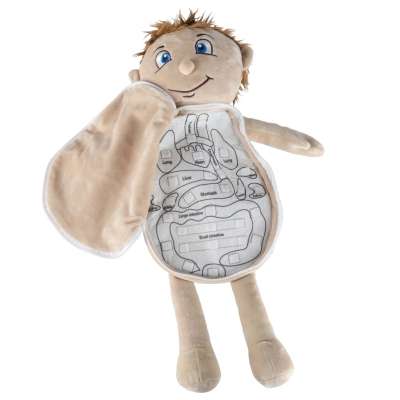 Mascot doll learning anatomy boy