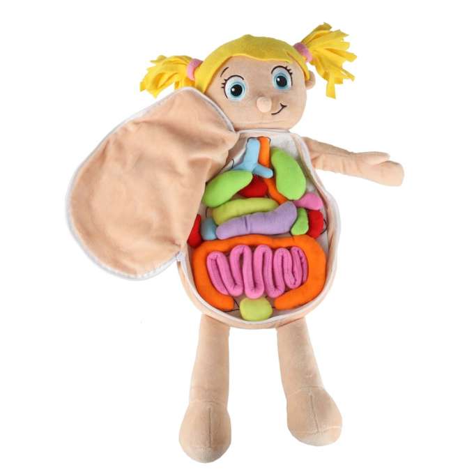 Mascot doll learning anatomy girl