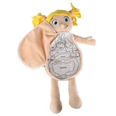 Mascot doll learning anatomy girl