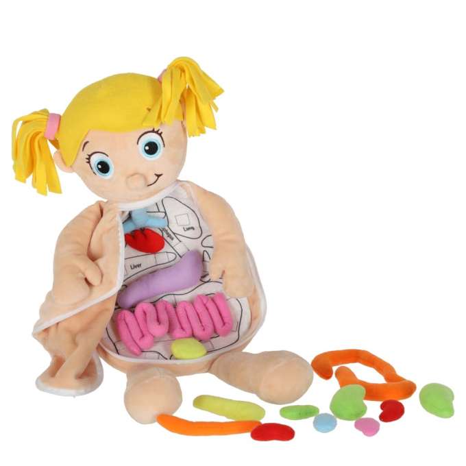 Mascot doll learning anatomy girl