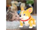 Pies piesek interaktywny robot Corgi świecące uszy muzyka 8