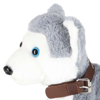 Piesek interaktywny na smyczy szczeka chodzi rusza ogonem Husky