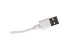 Poidełko fontanna dla psa kota zwierząt automatyczne poidło USB 2l filtr czyszczący 10