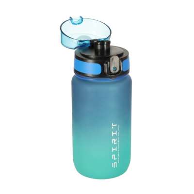 Water bottle bidon 600ml blue-green