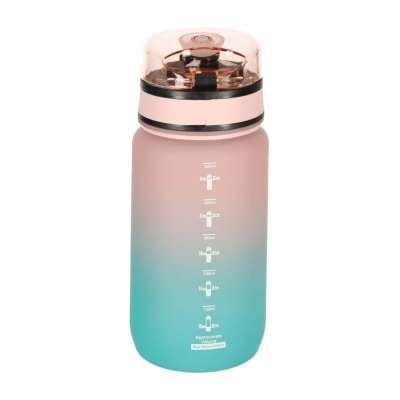 Water bottle bidon 600ml pink and blue