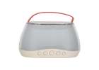 Bluetooth speaker RGB karaoke set 2 USB microphones 2