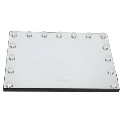 LED makeup mirror with 15 bulbs cosmetic zoom x10 brightness adjustment