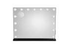 LED makeup mirror with 15 bulbs cosmetic zoom x10 brightness adjustment 6