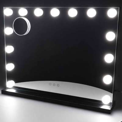LED makeup mirror with 15 bulbs cosmetic zoom x10 brightness adjustment