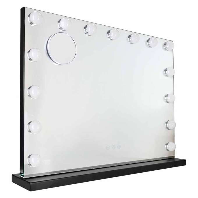 LED makeup mirror with 15 bulbs cosmetic zoom x10 brightness adjustment