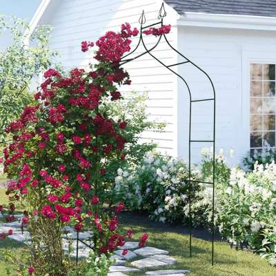 LUARO Garden pergola metal arch with grottoes for roses flowers climbers 240cm