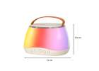 Zestaw do karaoke głośnik Bluetooth LED RGB 2 mikrofony USB 10