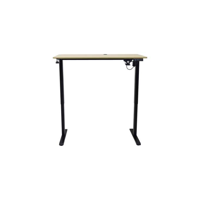 Electric height-adjustable desk with memory function and control panel 120x60 cm wood