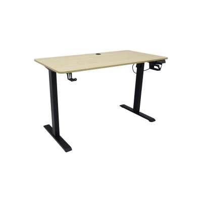 Electric height-adjustable desk with memory function and control panel 120x60 cm wood