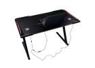 Gaming Desk with RGB LED Lighting and Computer Mounts for Gamers 120x60cm 8